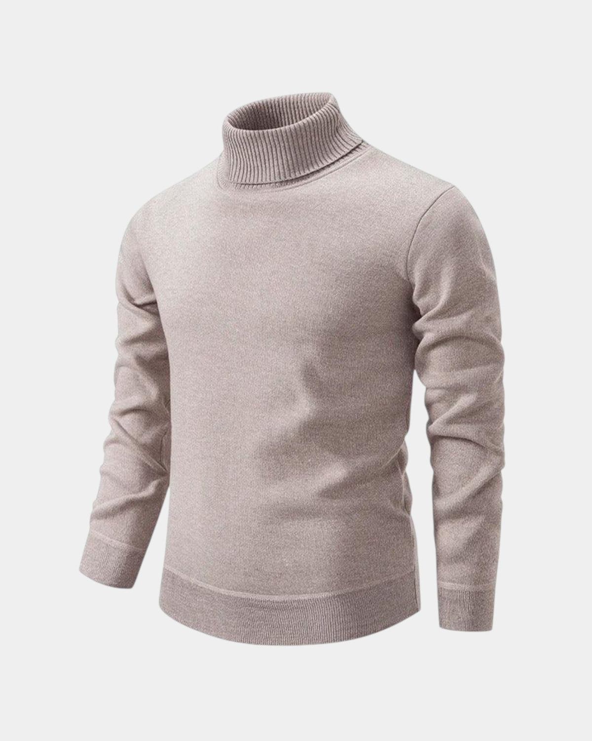 Franck Rollkragenpullover
