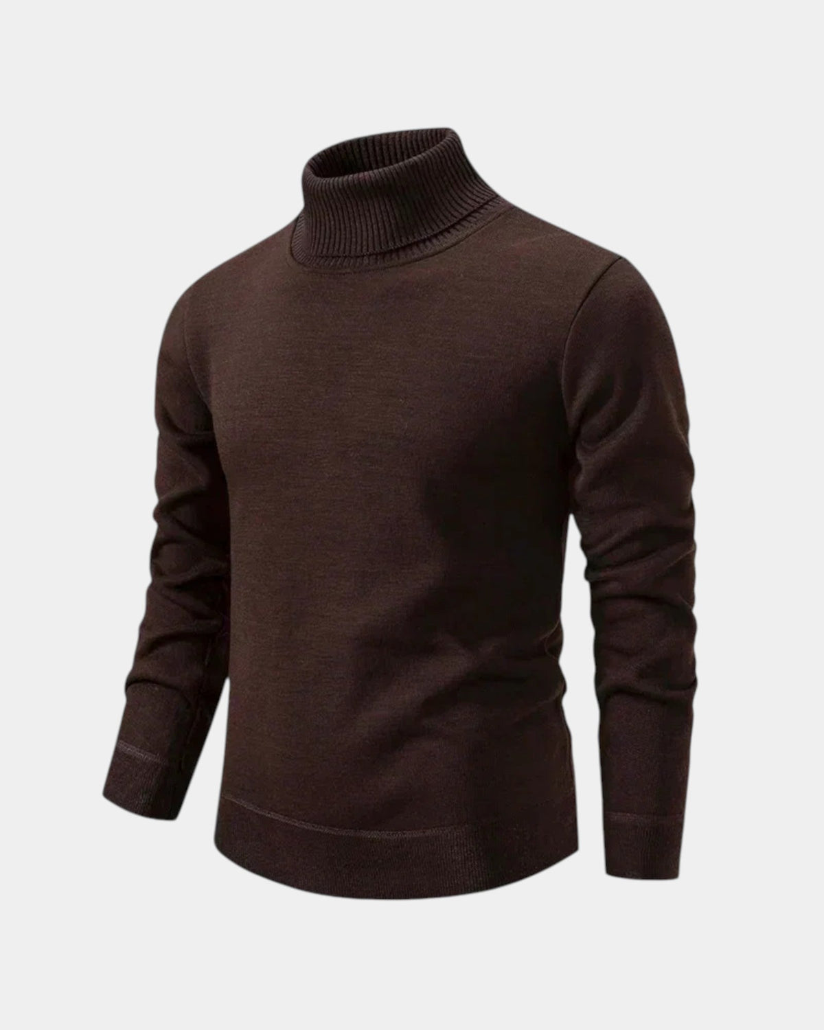 Franck Rollkragenpullover
